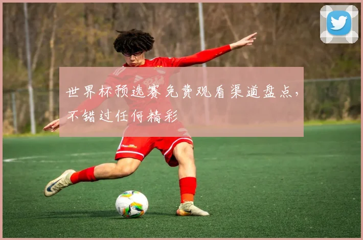 世界杯预选赛免费观看渠道盘点，不错过任何精彩