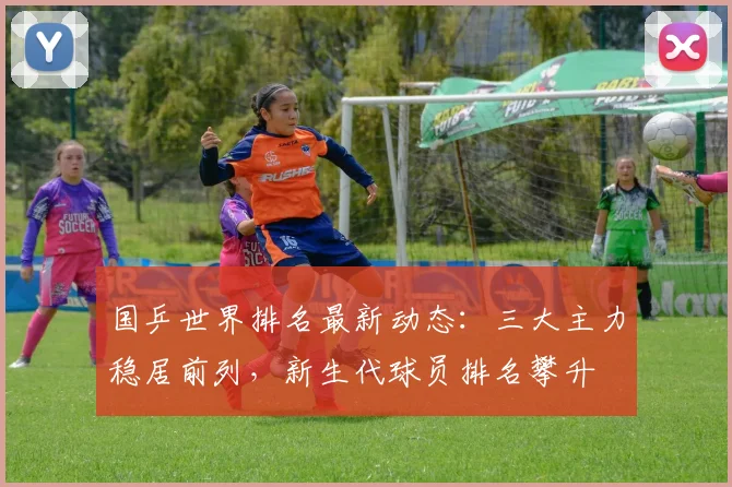 国乒世界排名最新动态：三大主力稳居前列，新生代球员排名攀升