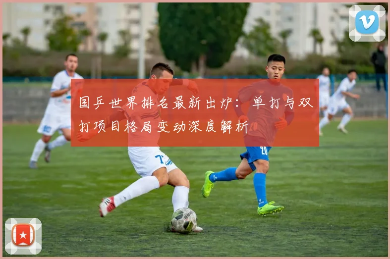 国乒世界排名最新出炉：单打与双打项目格局变动深度解析