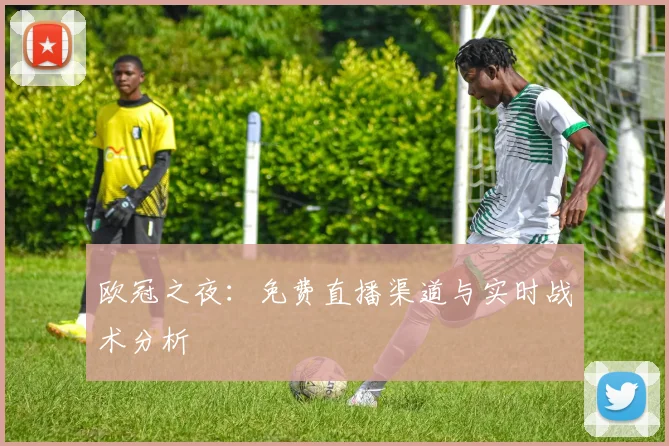 欧冠之夜：免费直播渠道与实时战术分析
