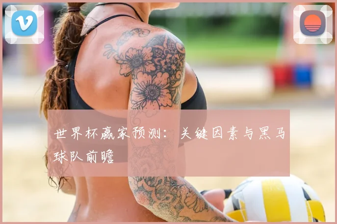 世界杯赢家预测：关键因素与黑马球队前瞻