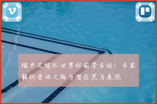 瑞典足球队世界杯前景专访:专家解析晋级之路与潜在黑马表现