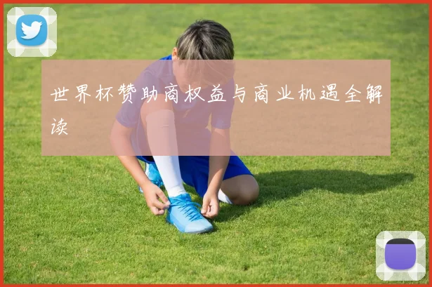 世界杯赞助商权益与商业机遇全解读
